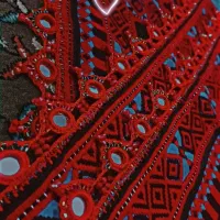 کریشی با قیمت بسیار پایین پذیرفته میشود