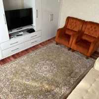 دو عدد فرش ماشینی 2در3