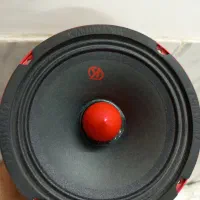 میدرنج کاشیاما