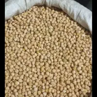 انواع حبوبات لوبیا چیتی قرمز سفید عدس نخود|عمدهفروشی|الیگودرز, |دیوار