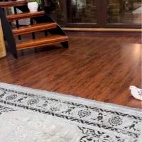 به یک نیرو جهت انجام امور منزل نیازمندیم