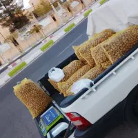 گردو فروش سیار