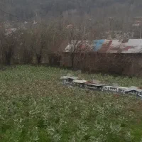 فروش زمین مسکونی