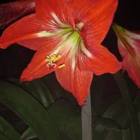 مرکز آموزشی و پژوهشی کار آنلاین