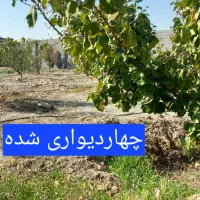باغ-و-باغچه-تکبرگ-درختی-آب-برق-گاز-منطقه-ویلاسازی