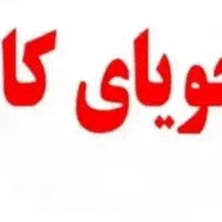 دنبال کار میگردم