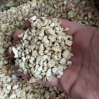 بادام هندی ویتنام خردشده ۶۷کیلوفروش بصورت یکجا