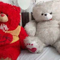 فروشی فروشی
