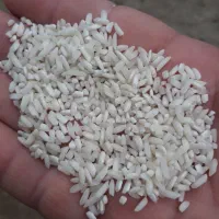 برنج حسنی|خوردنی و آشامیدنی|صومعهسرا, |دیوار