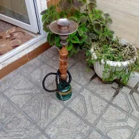 قلیون