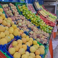 پالت میوه فروشی|فروشگاه و مغازه|تهران, اختیاریه|دیوار