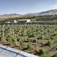 تولیدی فنس(توری حصاری)،توری پرسی و پایه فنس|خدمات پیشه و مهارت|سنندج, |دیوار