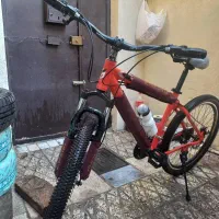 دوچرخه حرفه ای ویوا|دوچرخه، اسکیت، اسکوتر|ری, علایین|دیوار