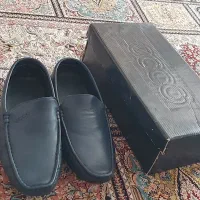 دوجفت کفش مردانه نو