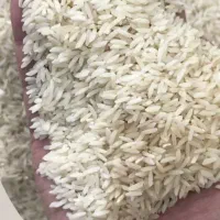 برنج فجر ۲۵۰ طارم هاشمی ۳۶۰