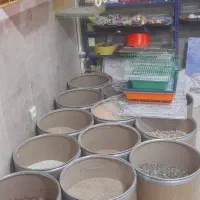 خوراک پرندگان