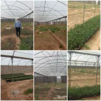 نصب گلخانه صنعتی.تمام گالوانیزه