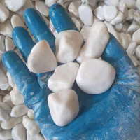 سنگ رنگی،شن رنگی|عمدهفروشی|تهران, جی|دیوار