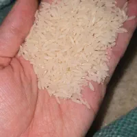 برنج طارم|خوردنی و آشامیدنی|قم, شهرک قدس|دیوار