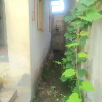 خانه کلنگی،در رشت|فروش زمین و ملک کلنگی|رشت, منظریه|دیوار