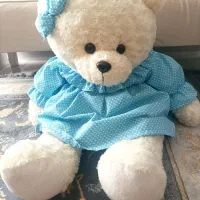 عروسک خرس وتشک بازی درحدنو|اسباب و اثاث بچه|خرمدره, |دیوار