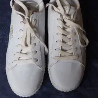 کتونی|کیف، کفش، کمربند|رودهن, |دیوار