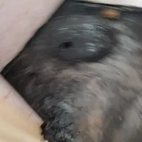 رفع نم ورطوبت سرویس بهداشتی، حمام و.