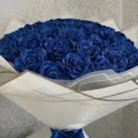 سفارش گیری