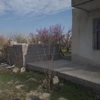 باغ انگور|فروش زمین و ملک کلنگی|نوشین شهر, |دیوار