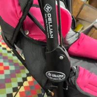 کالسکه دلیجان|کالسکه و لوازم جانبی|شیراز, گویم|دیوار