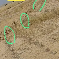 مسکن ملی|پیشفروش املاک|بهبهان, |دیوار