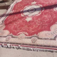 40تخته فرش دست دوم در حد نو|فرش|شیراز, شهرک مهدیآباد|دیوار