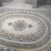 فرش نو ۱۲متری|فرش|مرودشت, ابوذر شمالی‎|دیوار