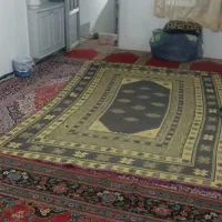 سوییت