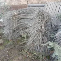 سیم کشاورزی|عمدهفروشی|کرخه, |دیوار