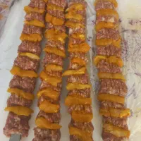 استخدام شاطر