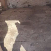 قفس چوبی|لوازم جانبی حیوانات|فیروزه, |دیوار