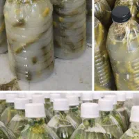 دبه ۱۸ کیلویی خیارشوری