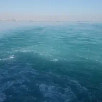 09170393929