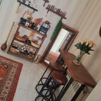 ۲ عدد آینه قدی درحد نو