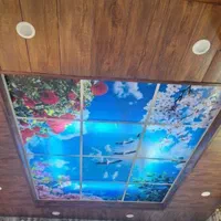 سقف کاذب (آذران پلاستیک)|خدمات پیشه و مهارت|گنبد کاووس, |دیوار