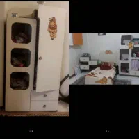 تخت