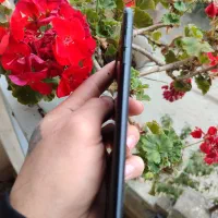 ایفون ۷ پلاس زیر قیمت / iPhone 7 Plus 128GB|موبایل|تالش, هشتپر|دیوار