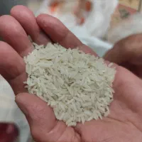 برنج طارم هاشمی اعلا|خوردنی و آشامیدنی|تهران, جنتآباد مرکزی|دیوار