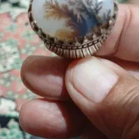 شجر زیبا|کلکسیون اشیاء عتیقه|زاهدان, |دیوار