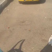 خانه اجاره ای