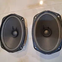 باند و بیضی پایونیر