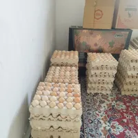 تخم‌مرغ گلپایگانی محلی|خوردنی و آشامیدنی|رباط‌کریم, |دیوار
