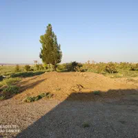 کود گوسفندی کهنه و نرم نرم