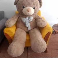 خرس عروسکی بزرگ